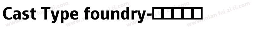 Cast Type foundry字体转换